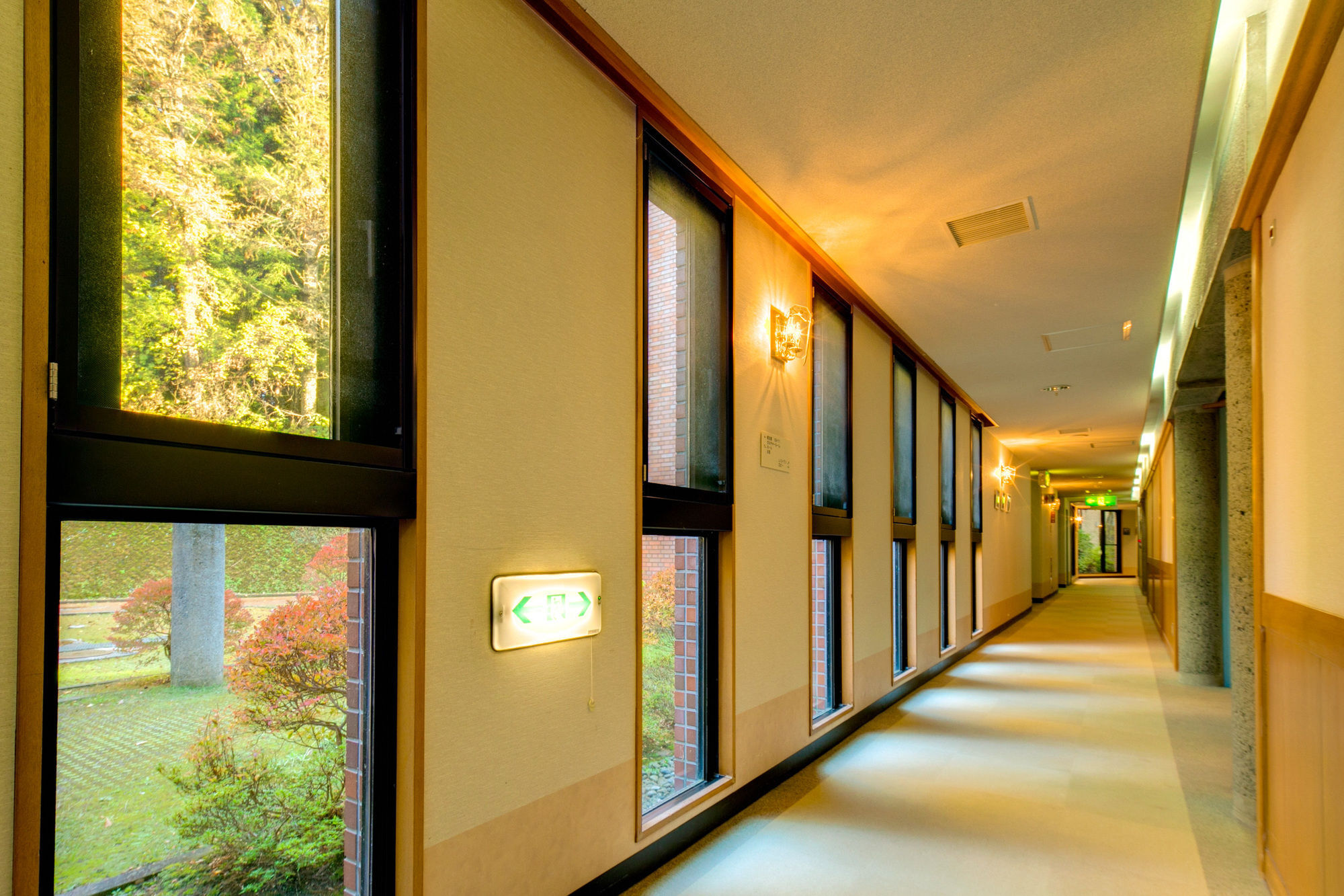 湖村苏扎索酒店 山中湖村 外观 照片